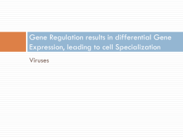 Viral Genomes