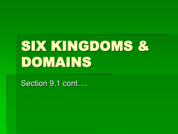 2 SIX KINGDOMS Nelson