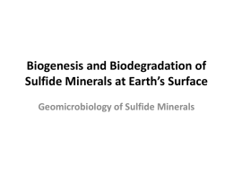 Biogenesis and Biodegradation of Sulfide Minerals at Earth`s Surface