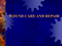 wound care and repair - Hatzalah of Miami-Dade