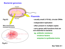 so difficult to define a “bacterial genome”