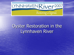 Condition of the Lynnhaven