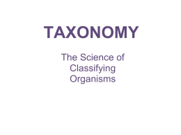 Taxonomy1