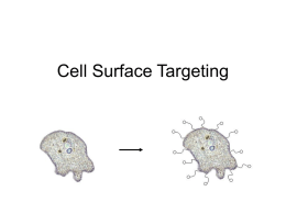 Cell Surface Targeting