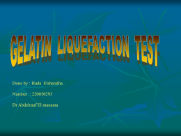 Gelatin liquefaction test