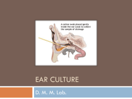 Ear discharge culture