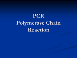 PCR Polymerase Chain
