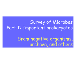 Survey of Microbes Part I: Important prokaryotes