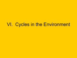 VI. Cycles in the Environment