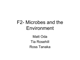 F2- Microbes and the Environment