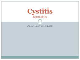 L1-Cystitis