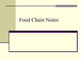 Food Chain Notes