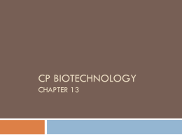 Chapter 13 Biotechnology 2013