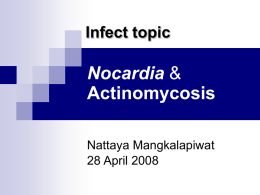 Nocardia & Actinomycosis