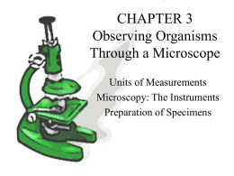 CHAPTER 3 Observing Organisms Through a Microscope