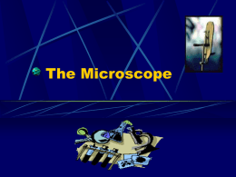 Power point Presentation on The Microscope