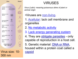 Viruses-TEA - KCI-SBI3U