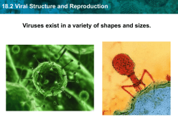 18.2 Viral Structure and Reproduction