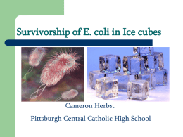 E coli survivorship in ice Herbst FINAL PJAS Powerpoint