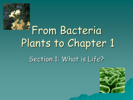 From Plants to Bacteria Chapter 1