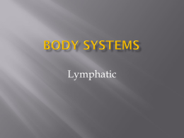 Body Systems Lymphatic
