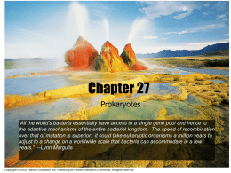Chapter 27 Presentation