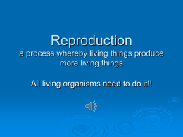 Reproduction a process whereby living things produce more living