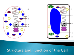 Intro to Cells Powerpoint 2011