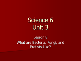 Science 6 Unit 3 - secondary