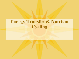 Energy and Nutrients