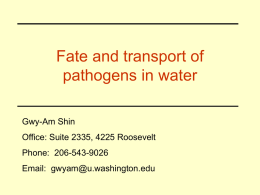 Transport of Waterborne Pathogens
