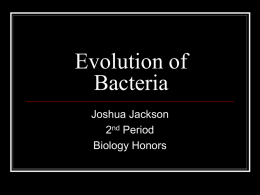 Evolution of Bacteria
