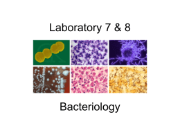 Laboratory 7