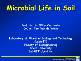The Microbial Ecosystem