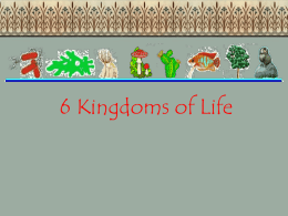 6 Kingdoms - Denton ISD