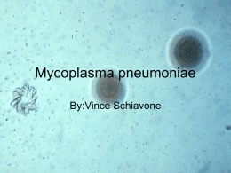 Vince Schiavone Periods 1-2 Mycoplasma
