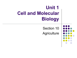 Section 10 – Agriculture