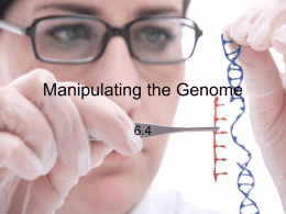 Manipulating the Genome & Gene Therapy 6.4 6.5