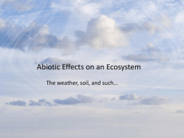 Abiotic Effects on an Ecosystem
