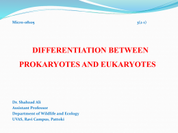 Lecture 3 and 4 DIFFERENTIATION BETWEEN