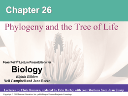Chapter 26 Phylogeny and the Tree of Life (working
