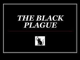 THE BLACK PLAGUE