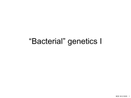 “Bacterial” genetics I - Molecular and Cell Biology