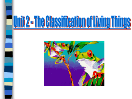 Classification Power Point Presentation