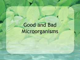 Good and Bad Microorganisms