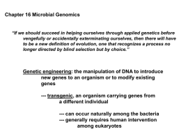 If we should succeed in helping ourselves through applied genetics