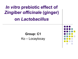 In vitro prebiotic effect of Zingiber officinale (ginger) on Lactobacillus
