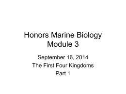 Honors Marine Biology Module 3