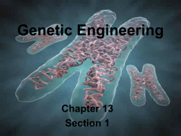 Genetic Engineering - Lemon Bay High School