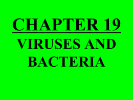 VIRUSES AND BACTERIA